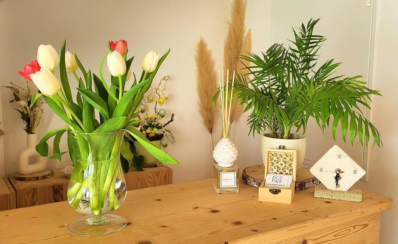 Stella Del Garda Bed & Breakfast Lazise