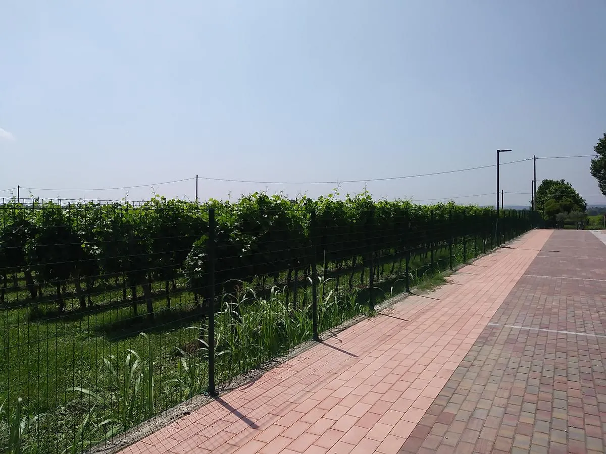 Stella Del Garda Bed & Breakfast Lazise